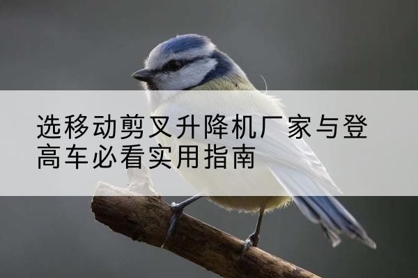 包河电动升降机厂家-选移动剪叉升降机厂家与登高车必看实用指南