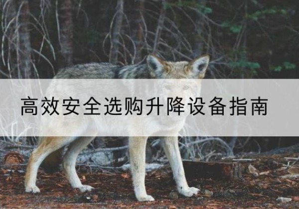 包河升降货梯厂家推荐-*安全选购升降设备指南