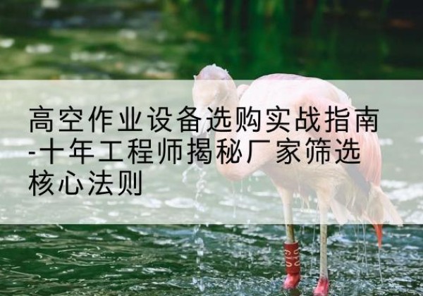 包河剪叉式升降机厂家-高空作业设备选购实战指南-十年工程师揭秘厂家筛选核心法则